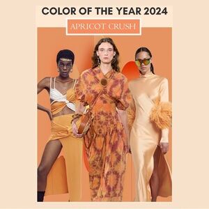 PEACH FUZZ & APRICOT CRUSH 🍑 SUMMER PANATONE 2024